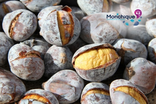 Magusto no concelho de Monchique