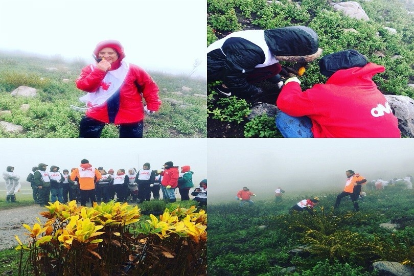 Refloresta��o Monchique AMI 01