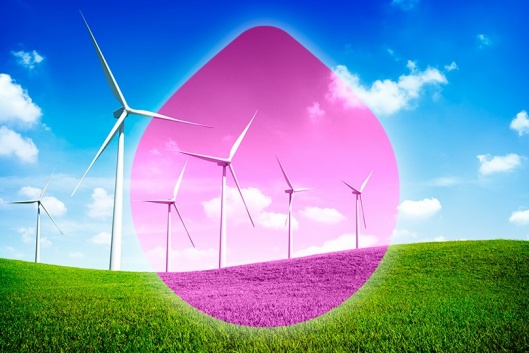 Sociedade da �gua de Monchique powered by Energia Verde